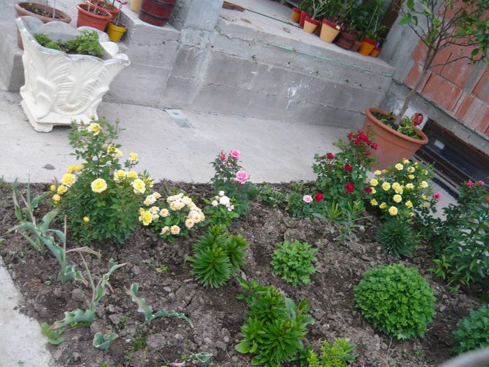 Picture 2920 - Mirajul verii