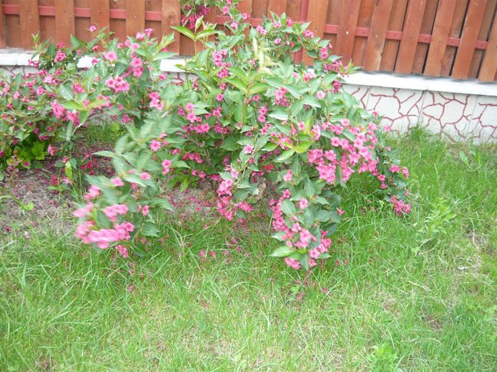 Picture 2956 - Mirajul verii