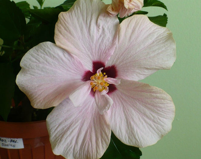 P1440500