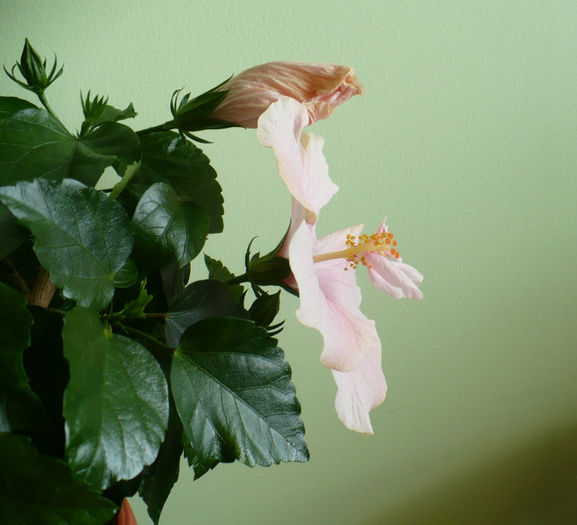 P1440508