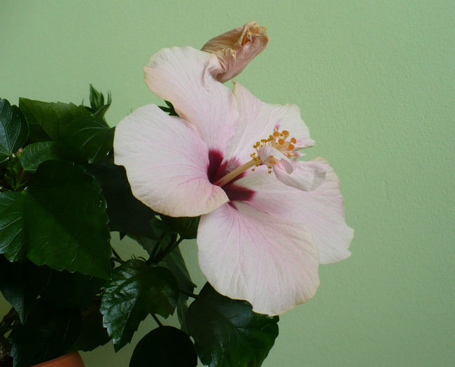 P1440509