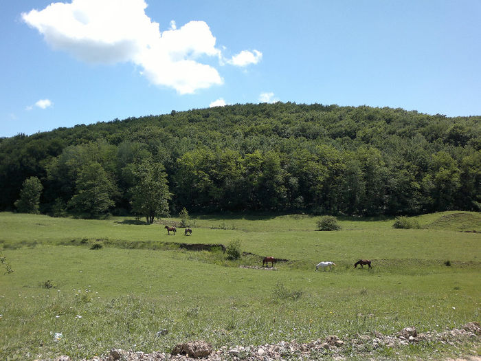 050620132670[1] - placerea de a face fotografii