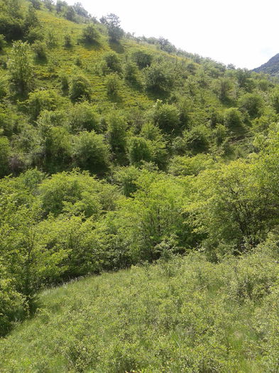 2013-05-26 11.54.50 - Fotografii 2013