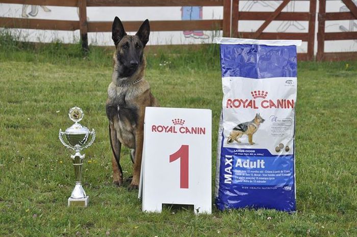 Examen BH Tohanul Nou