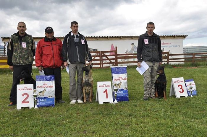 Examen BH Tohanul Nou