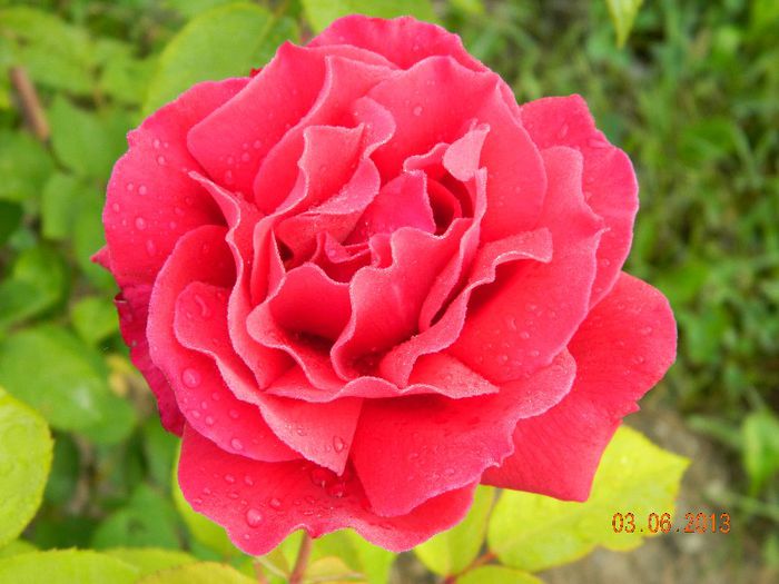 090 - IUNIE