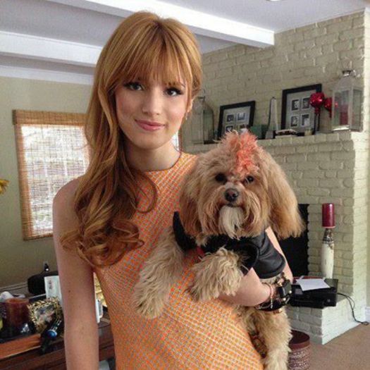 Vedetelelaputere - alegeti o poza neocupata cu bella thorne