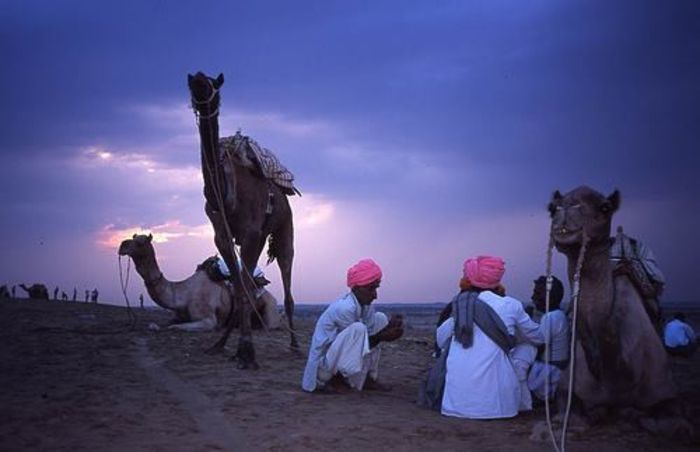 600843_608045029228632_1650037820_n - Rajasthan