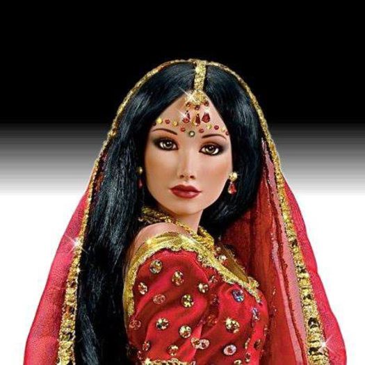 969594_606991962667272_1923373093_n - Indian Dolls