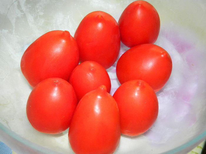 DSCN4015 - ROSII TUGUIATE