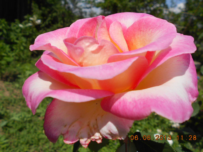DSCN8679