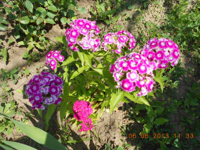 DSCN8691