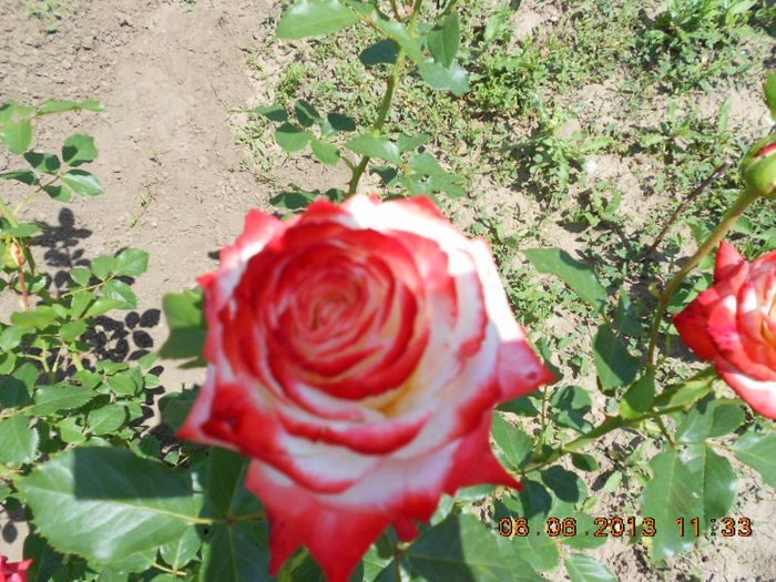 DSCN8693