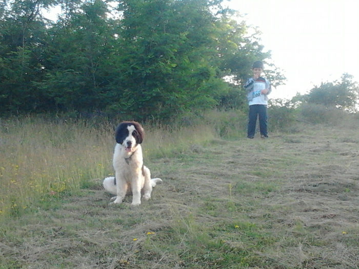 2013-06-06 20.07.40 - Molda