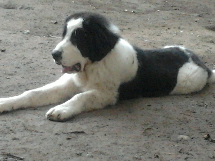 2013-06-06 20.45.20 - Molda