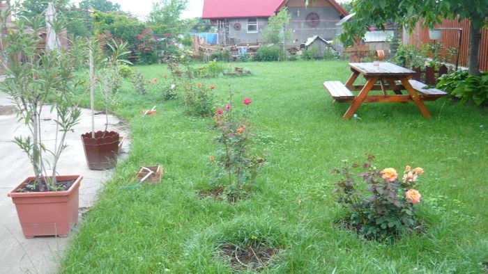 Picture 3160 - Mirajul verii