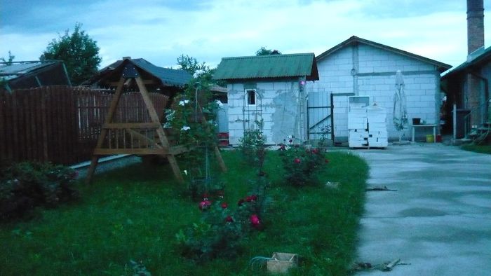 Picture 3239 - Mirajul verii