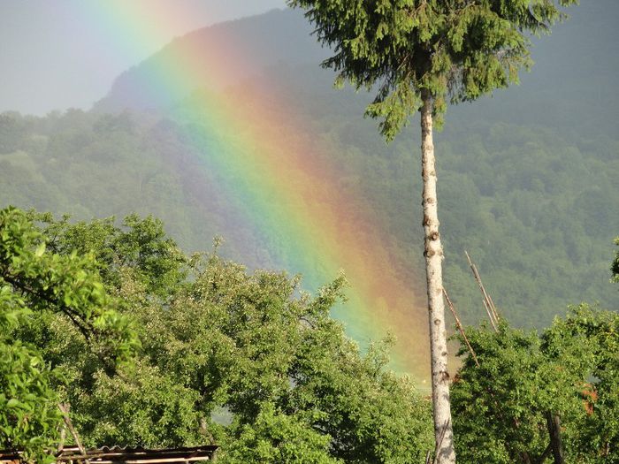 DSC06843 - o minune a naturii 6 iunie curcubeul