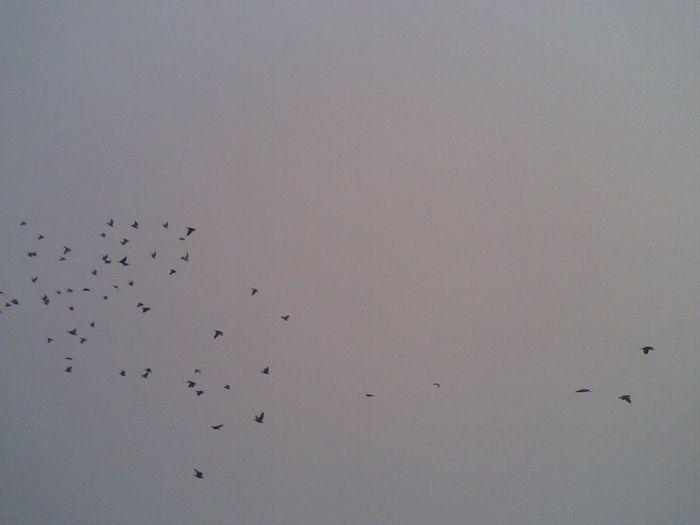 07062013(001) - Voiajori