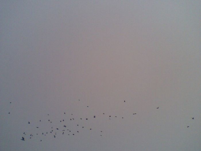 07062013(002) - Voiajori