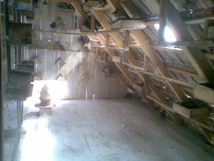 28052013(001) - Voiajori