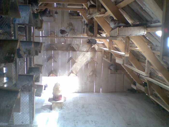 28052013(002) - Voiajori