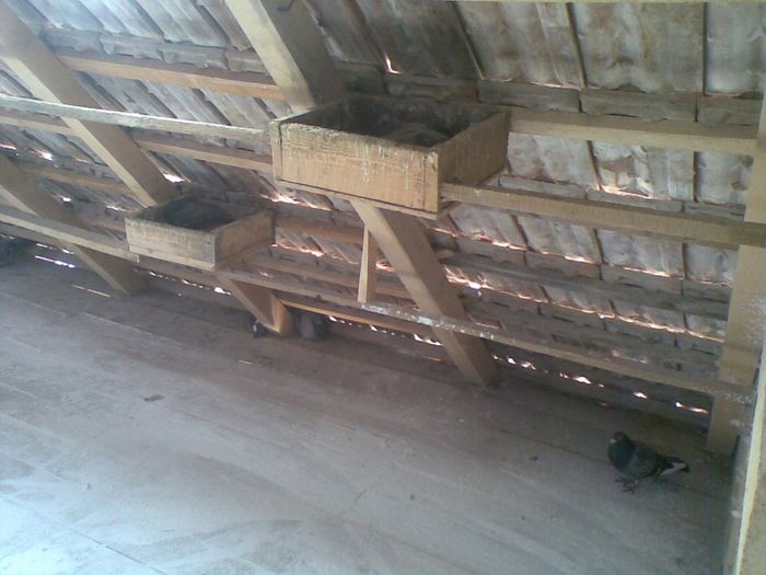 28052013(003) - Voiajori