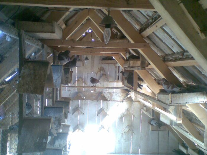 28052013(004) - Voiajori