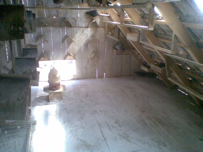 28052013(005) - Voiajori