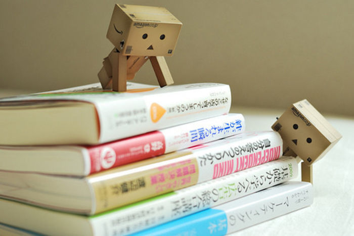 Danbo - Mascotica Danbo