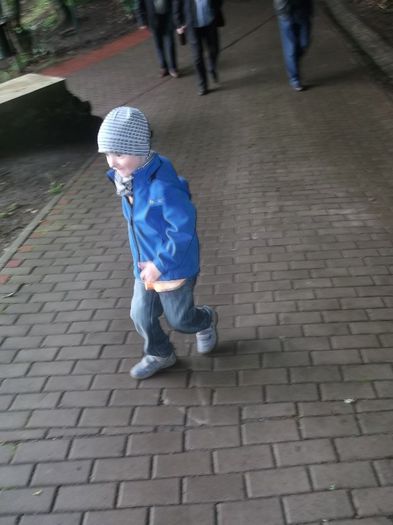 AM PIERDUT O CIUPERCUTA,