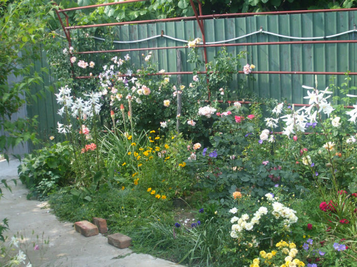 DSCF1660 - vara 2013