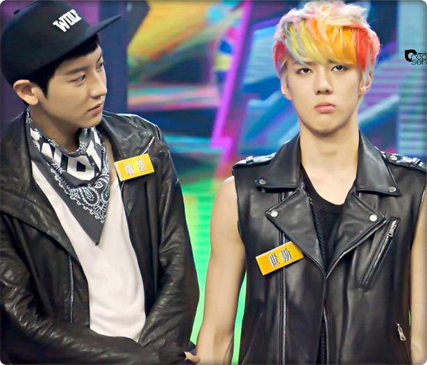 ▬ ▬ ▬ ▬ ▬ ▬ ▬ ▬ ▬ ▬ ▬ ▬