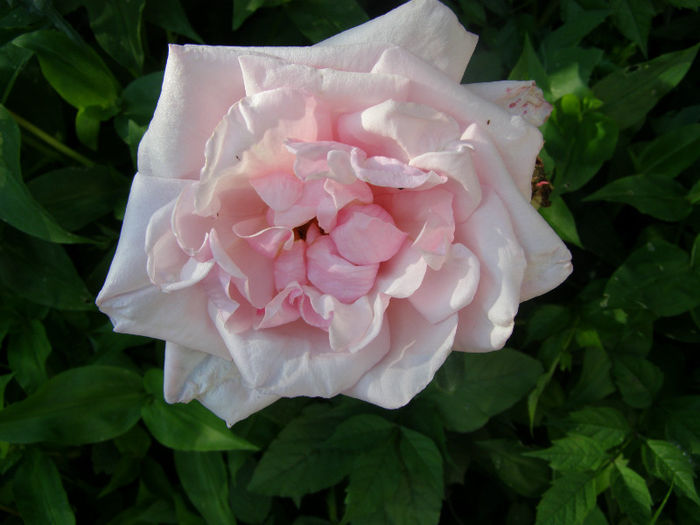 P1018318