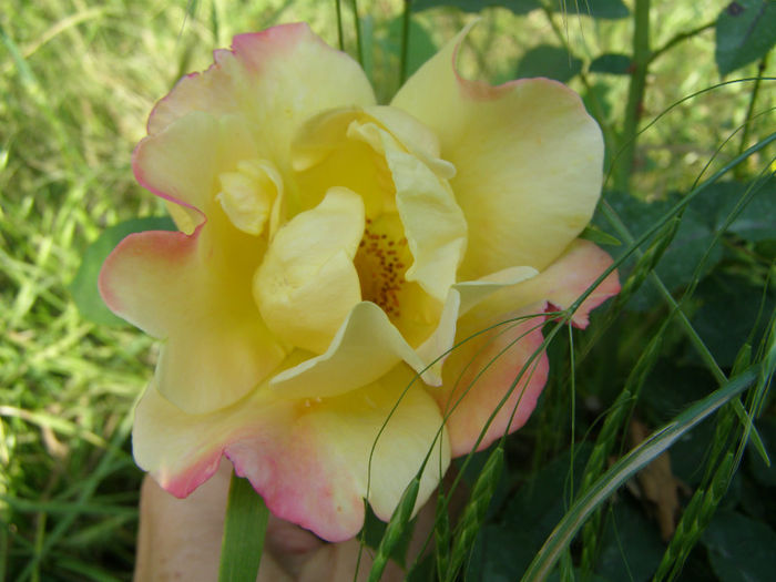 P1018326