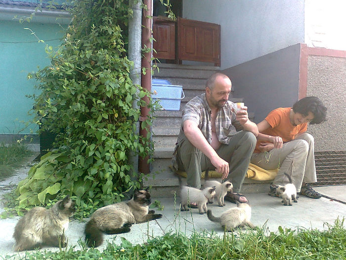 Mihai,Mirela si pisicile noastre