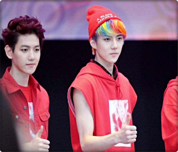 ▬ ▬ ▬ ▬ ▬ ▬ ▬ ▬ ▬ ▬ ▬ ▬