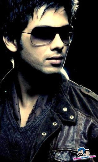 shahid-kapoor-13-d - Shahid Kapoor