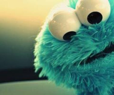  - Cookie Monster