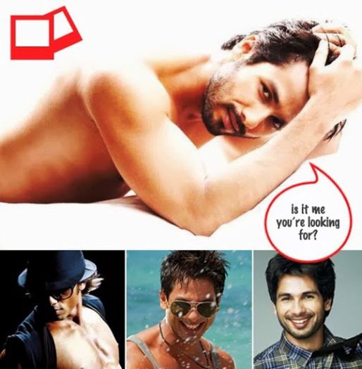 3072487781_1_3_3t02bQFl1 - Shahid Kapoor