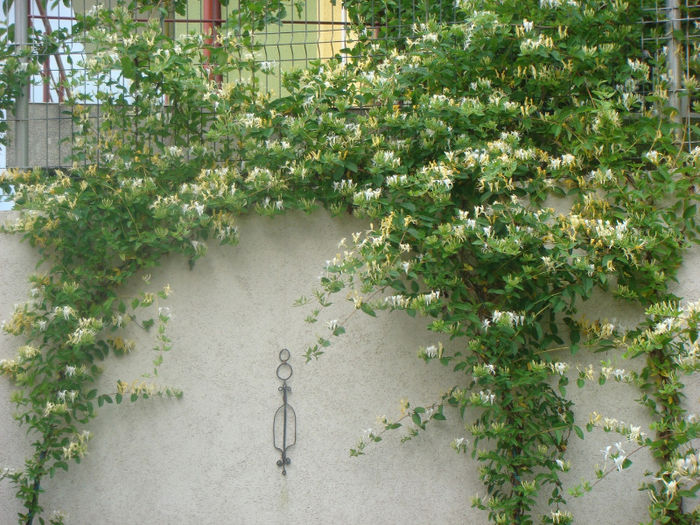 DSC05851
