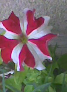 Imag0908