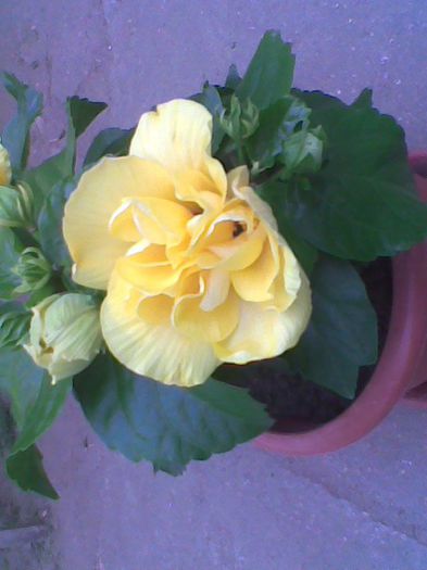 Imag0903