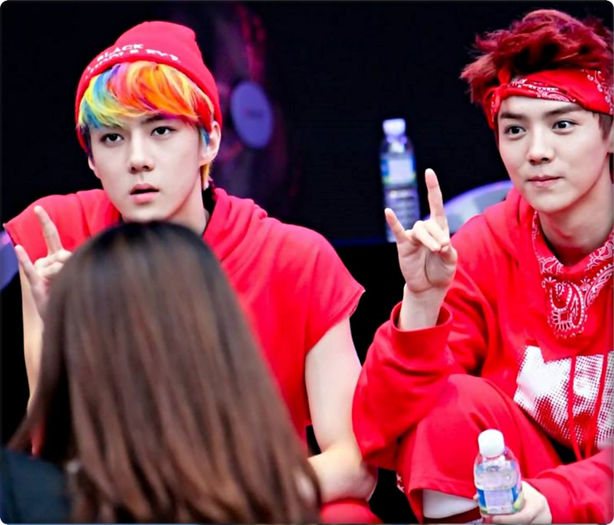 ▬ ▬ ▬ ▬ ▬ ▬ ▬ ▬ ▬ ▬ ▬ ▬