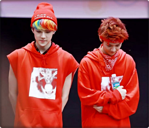 ▬ ▬ ▬ ▬ ▬ ▬ ▬ ▬ ▬ ▬ ▬ ▬