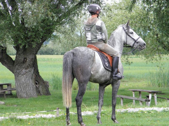 P6088526 - VANZARI CAI 1