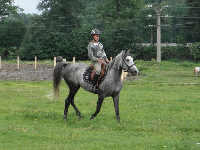 P6088528 - VANZARI CAI 1