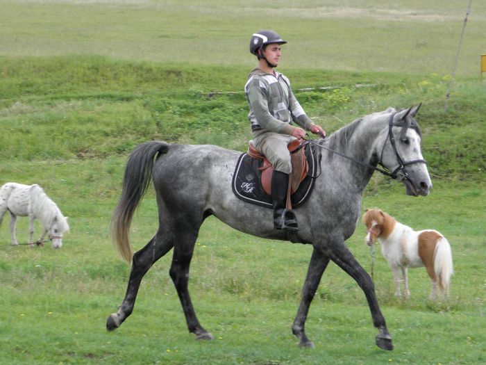 P6088531 - VANZARI CAI 1