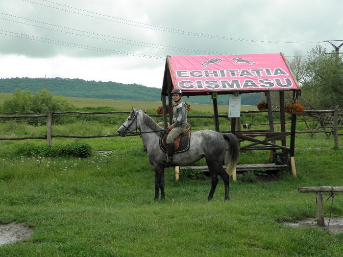 P6088533 - VANZARI CAI 1