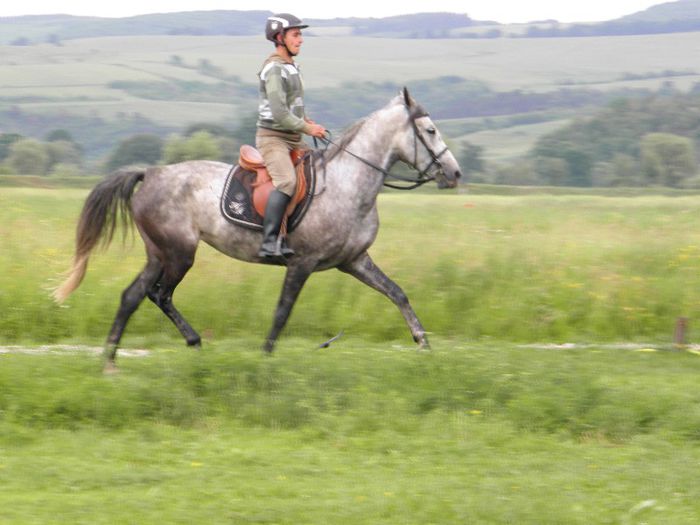 P6088540 - VANZARI CAI 1